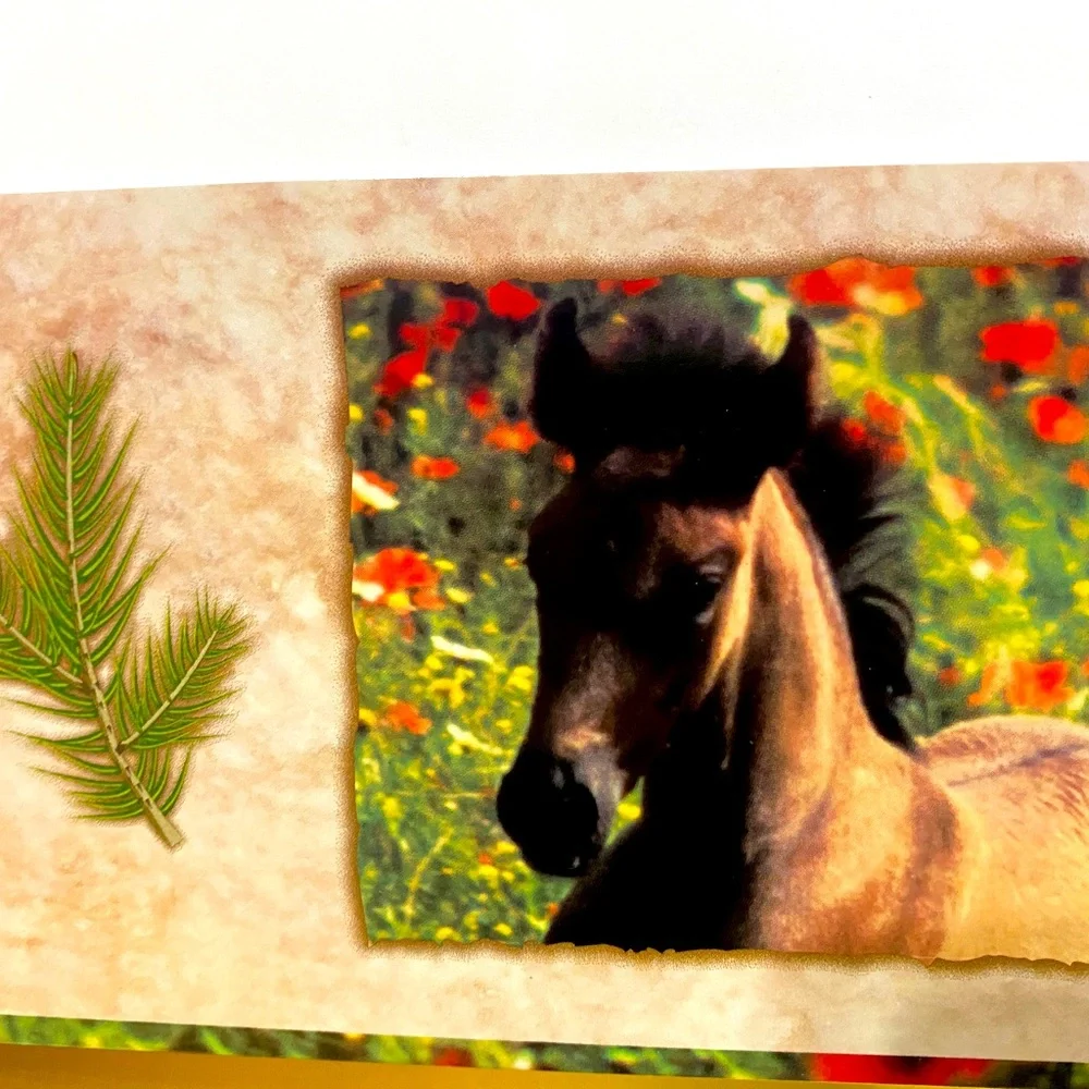 HORSE VINTAGE 2000 MEAD PORTFOLIO 3 RING BINDER FOLDERS EQUUS BUNDLE OF 3